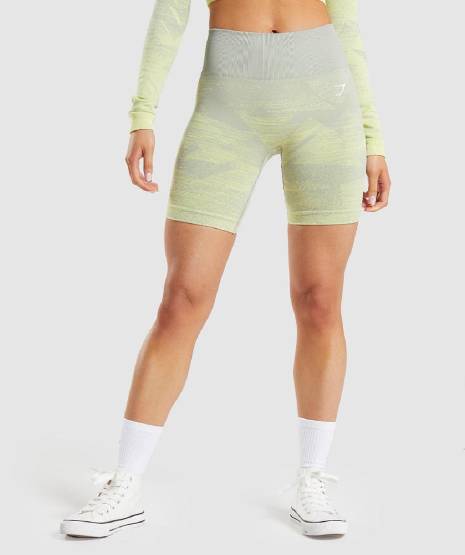 Szorty Damskie Gymshark Adapt Ombre Seamless Szare Brązowe Szare | PL 2453BEX